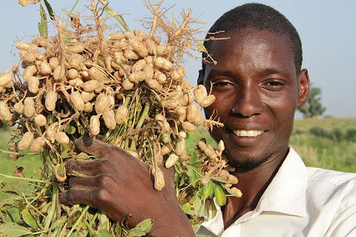 agriculteurs du senegal